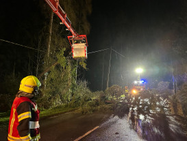 Einsätze: BMA / Sturmschäden