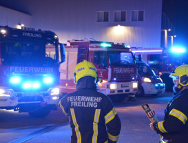 Einsatz: Brandmeldealarm 